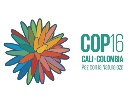 Casa Minuto de Dios en la COP16